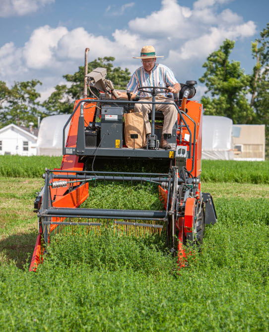 Harvesting Alfalfa